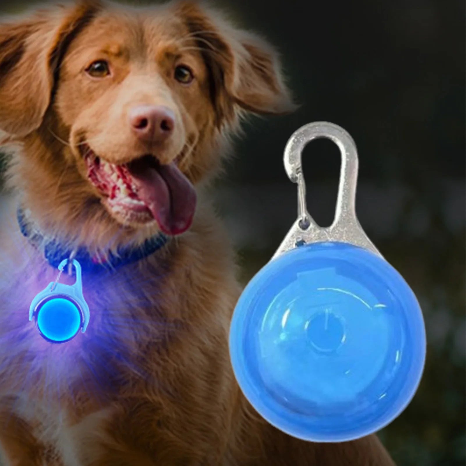 Collier LED Lumineux pour Chat- Sécurité la Nuit